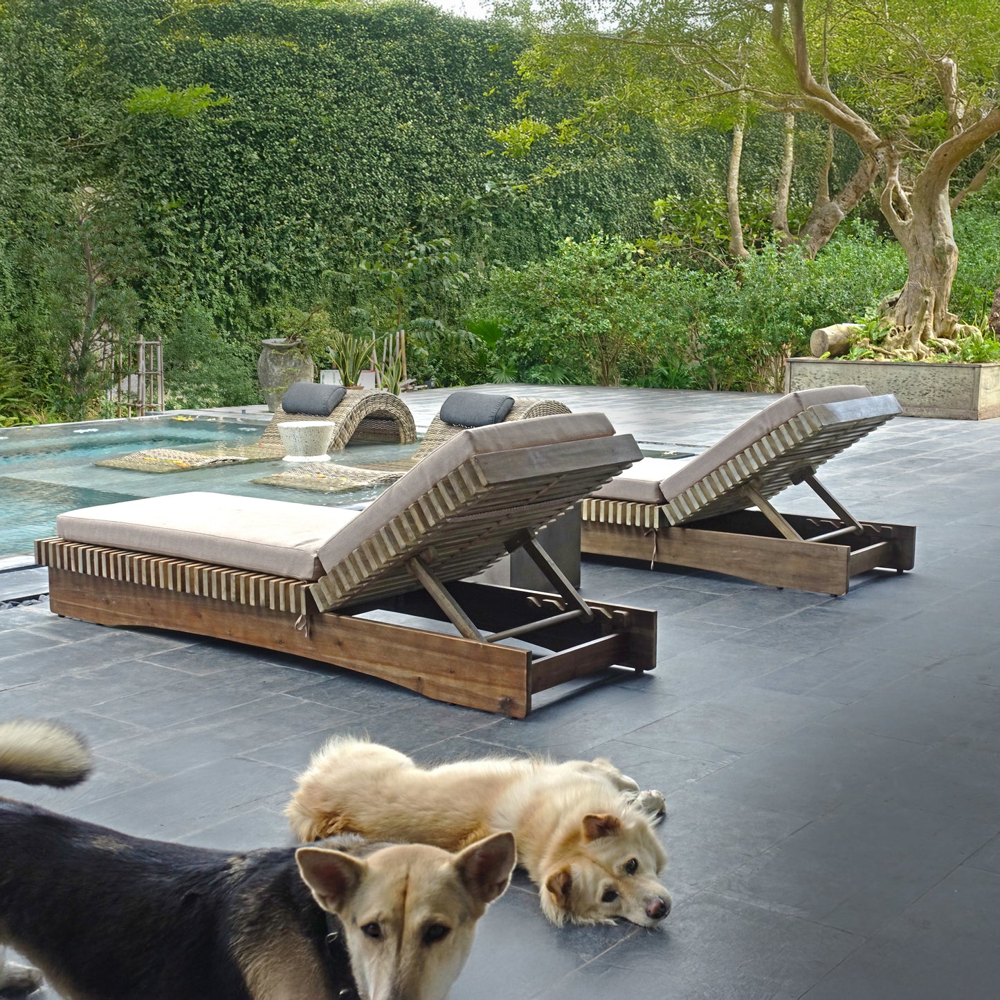 Middleton Wooden Sunlounger